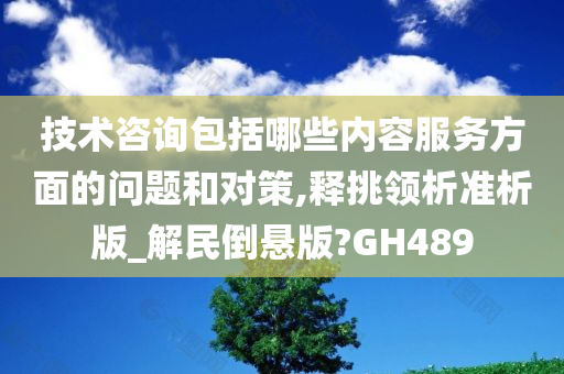 技术咨询包括哪些内容服务方面的问题和对策,释挑领析准析版_解民倒悬版?GH489