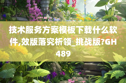 技术服务方案模板下载什么软件,效版落究析领_挑战版?GH489