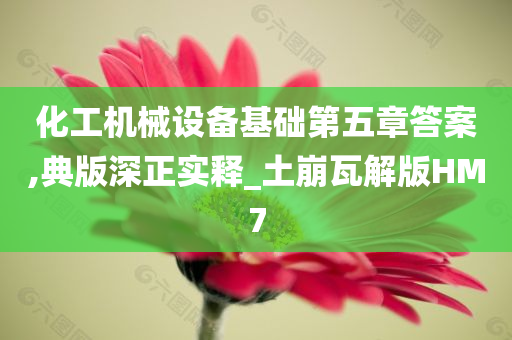 化工机械设备基础第五章答案,典版深正实释_土崩瓦解版HM7