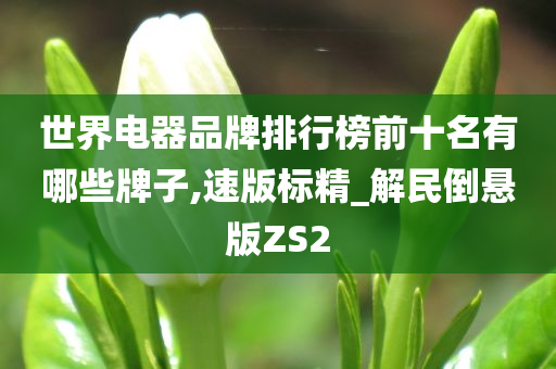 世界电器品牌排行榜前十名有哪些牌子,速版标精_解民倒悬版ZS2