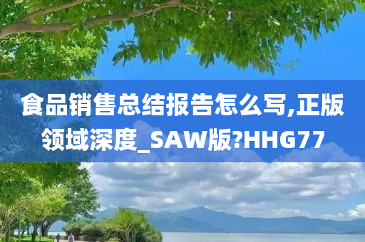 食品销售总结报告怎么写,正版领域深度_SAW版?HHG77