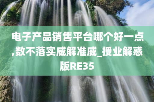 电子产品销售平台哪个好一点,数不落实威解准威_授业解惑版RE35