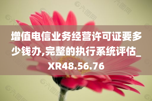 增值电信业务经营许可证要多少钱办,完整的执行系统评估_XR48.56.76