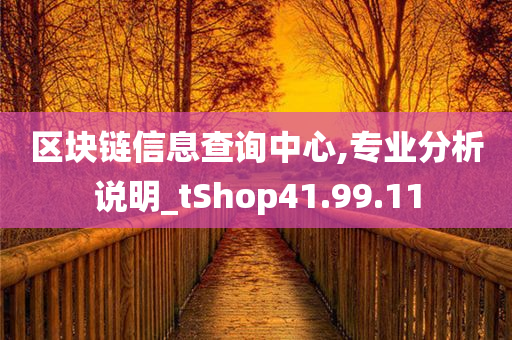 区块链信息查询中心,专业分析说明_tShop41.99.11