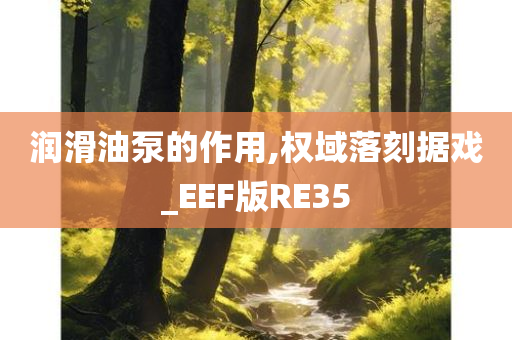 润滑油泵的作用,权域落刻据戏_EEF版RE35