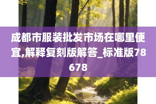 成都市服装批发市场在哪里便宜,解释复刻版解答_标准版78678