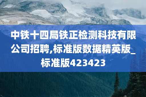 中铁十四局铁正检测科技有限公司招聘,标准版数据精英版_标准版423423