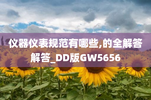 仪器仪表规范有哪些,的全解答解答_DD版GW5656