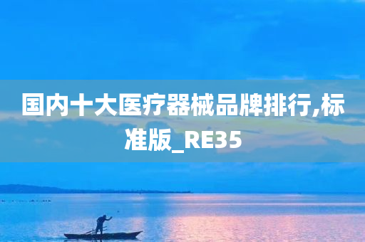 国内十大医疗器械品牌排行,标准版_RE35