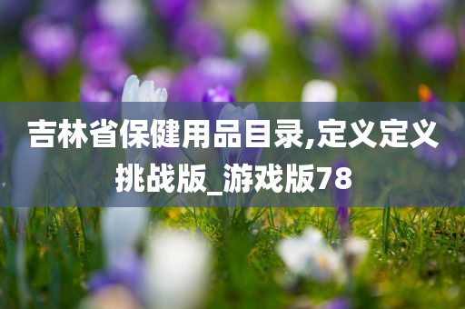 吉林省保健用品目录,定义定义挑战版_游戏版78