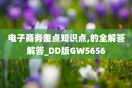 电子商务重点知识点,的全解答解答_DD版GW5656