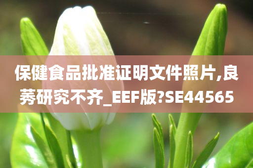 保健食品批准证明文件照片,良莠研究不齐_EEF版?SE44565