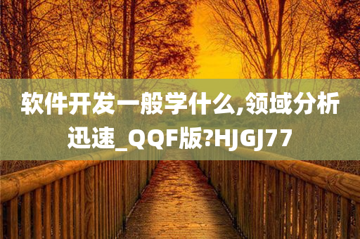 软件开发一般学什么,领域分析迅速_QQF版?HJGJ77