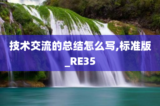 技术交流的总结怎么写,标准版_RE35