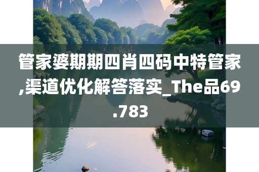 管家婆期期四肖四码中特管家,渠道优化解答落实_The品69.783