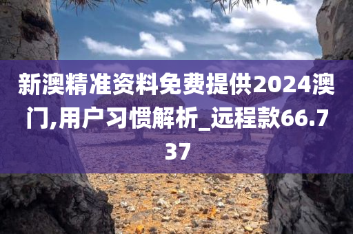 新澳精准资料免费提供2024澳门,用户习惯解析_远程款66.737