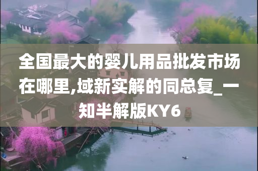 全国最大的婴儿用品批发市场在哪里,域新实解的同总复_一知半解版KY6