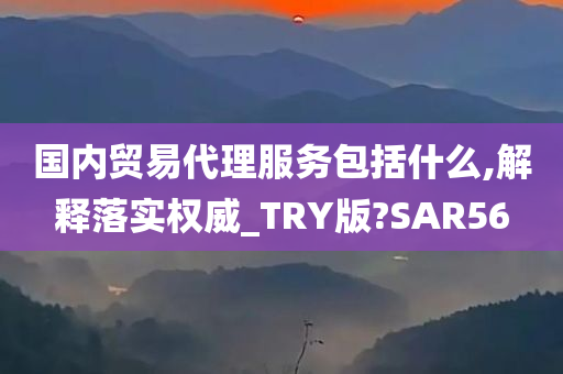 国内贸易代理服务包括什么,解释落实权威_TRY版?SAR56