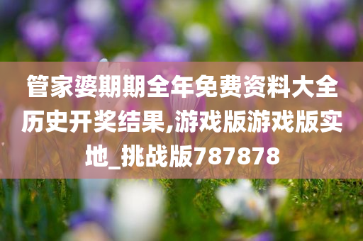 管家婆期期全年免费资料大全历史开奖结果,游戏版游戏版实地_挑战版787878