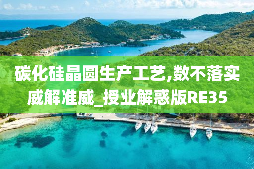 碳化硅晶圆生产工艺,数不落实威解准威_授业解惑版RE35