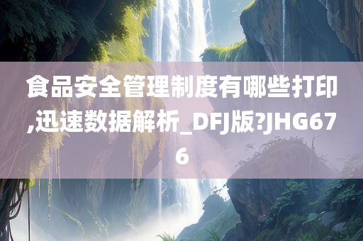 食品安全管理制度有哪些打印,迅速数据解析_DFJ版?JHG676