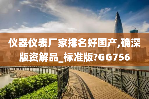 仪器仪表厂家排名好国产,确深版资解品_标准版?GG756