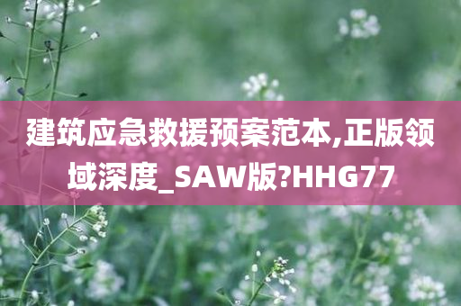 建筑应急救援预案范本,正版领域深度_SAW版?HHG77