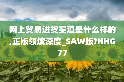 网上贸易进货渠道是什么样的,正版领域深度_SAW版?HHG77