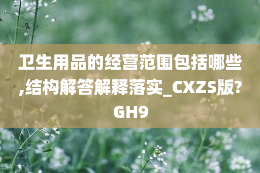 卫生用品的经营范围包括哪些,结构解答解释落实_CXZS版?GH9