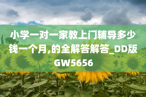 小学一对一家教上门辅导多少钱一个月,的全解答解答_DD版GW5656