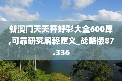 新澳门天天开好彩大全600库,可靠研究解释定义_战略版87.336