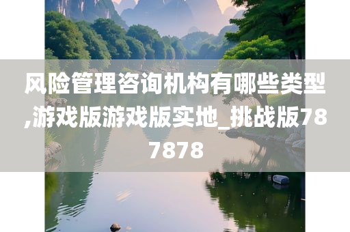 风险管理咨询机构有哪些类型,游戏版游戏版实地_挑战版787878