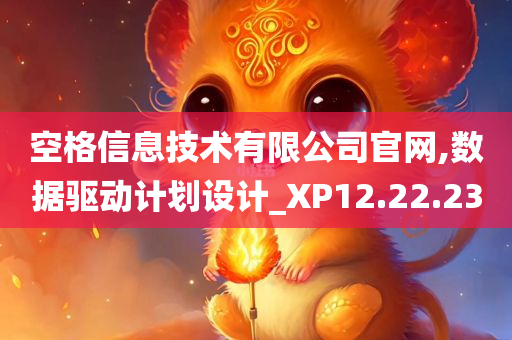 空格信息技术有限公司官网,数据驱动计划设计_XP12.22.23