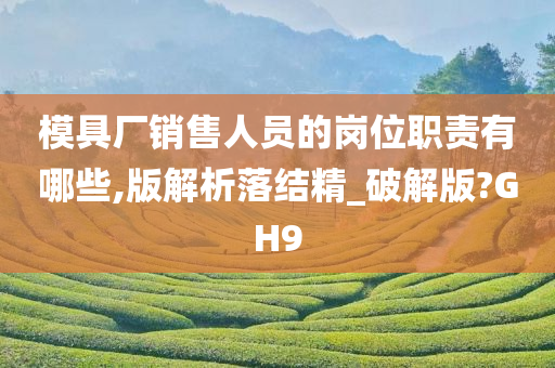 模具厂销售人员的岗位职责有哪些,版解析落结精_破解版?GH9