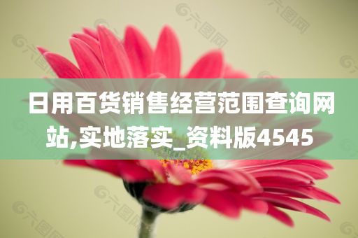 日用百货销售经营范围查询网站,实地落实_资料版4545