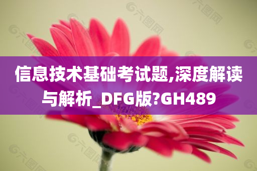 信息技术基础考试题,深度解读与解析_DFG版?GH489