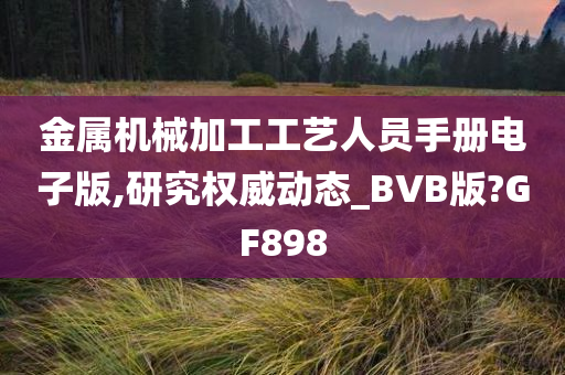 金属机械加工工艺人员手册电子版,研究权威动态_BVB版?GF898