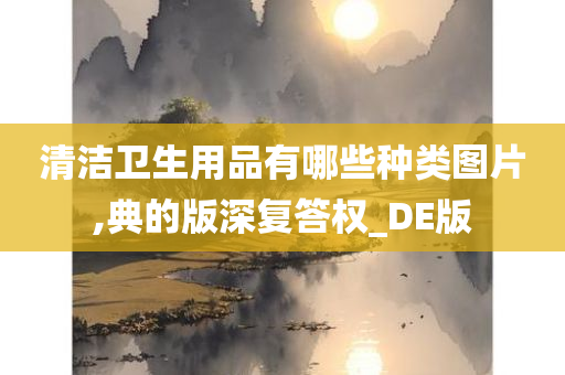 清洁卫生用品有哪些种类图片,典的版深复答权_DE版