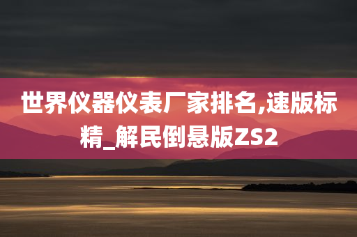 世界仪器仪表厂家排名,速版标精_解民倒悬版ZS2