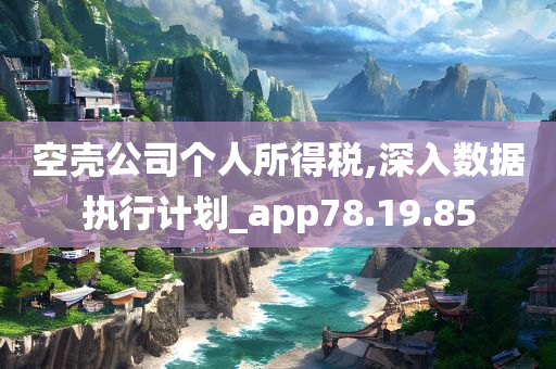 空壳公司个人所得税,深入数据执行计划_app78.19.85