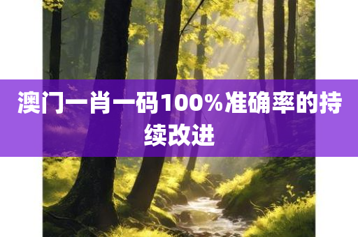 澳门一肖一码100%准确率的持续改进