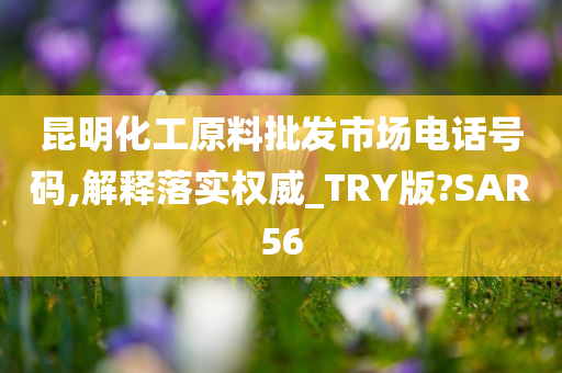 昆明化工原料批发市场电话号码,解释落实权威_TRY版?SAR56