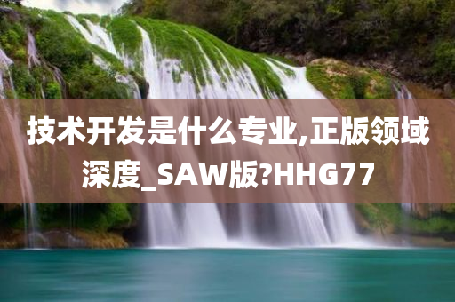 技术开发是什么专业,正版领域深度_SAW版?HHG77