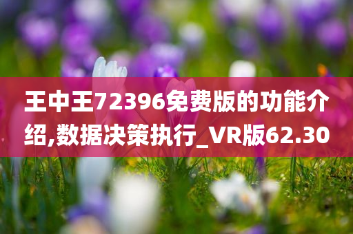 王中王72396免费版的功能介绍,数据决策执行_VR版62.30