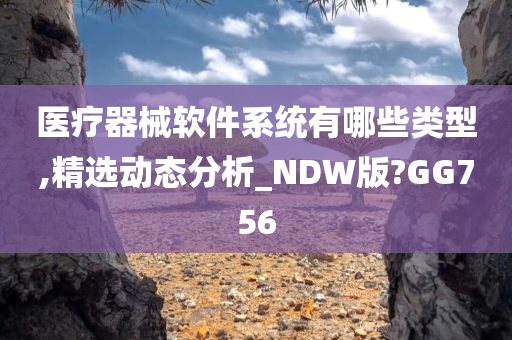 医疗器械软件系统有哪些类型,精选动态分析_NDW版?GG756