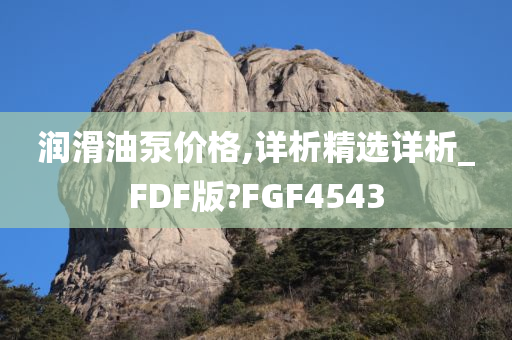 润滑油泵价格,详析精选详析_FDF版?FGF4543