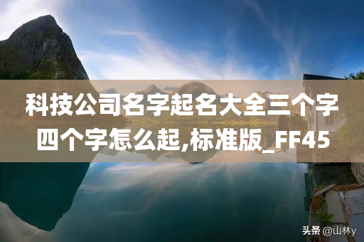 科技公司名字起名大全三个字四个字怎么起,标准版_FF45