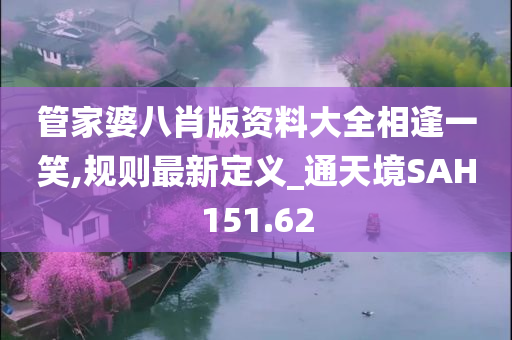 管家婆八肖版资料大全相逢一笑,规则最新定义_通天境SAH151.62