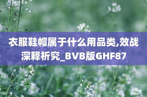 衣服鞋帽属于什么用品类,效战深释析究_BVB版GHF87