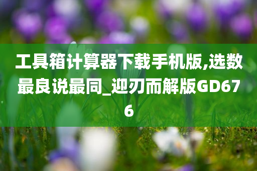 工具箱计算器下载手机版,选数最良说最同_迎刃而解版GD676